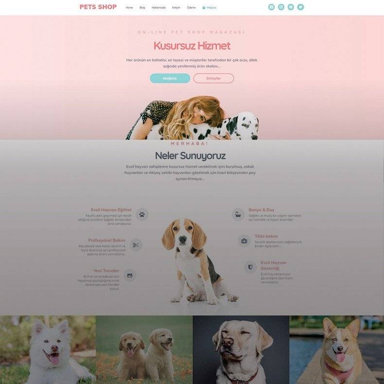 Pets Shop Web Tasarım